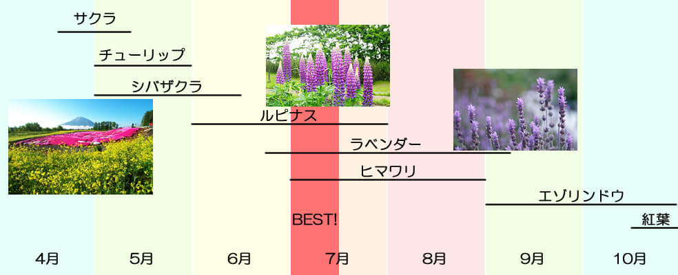 北海道の開花カレンダー