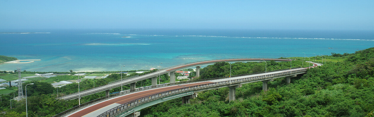 沖縄旅行 カップル向けおすすめツアー しろくまツアー