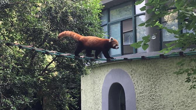 上海動物園