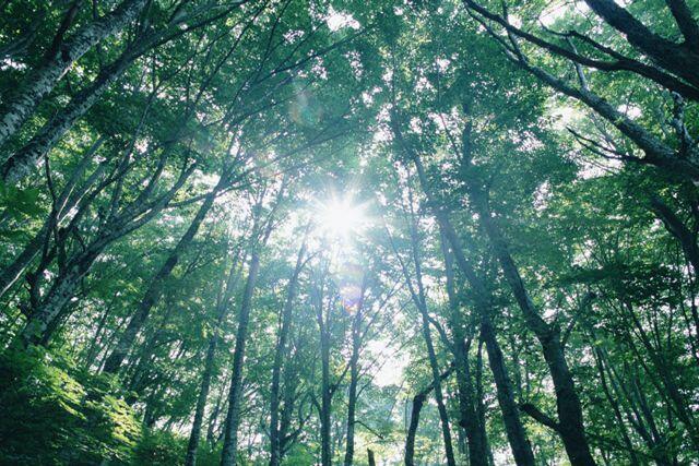 本物の自然ってなんだ？「定山渓自然の村」で体験しよう！