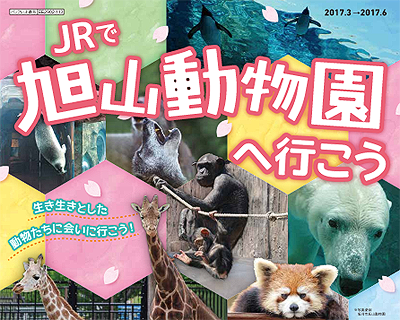 JRに乗って旭山動物園に行こう！便利な旭山動物園きっぷ