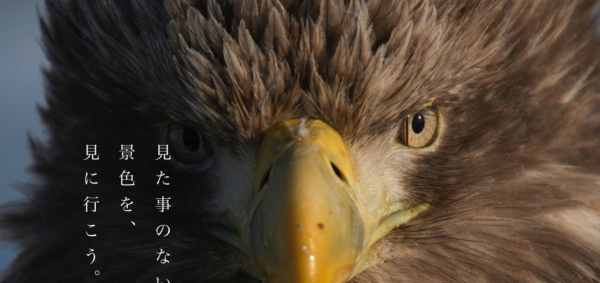 写真家・久保敬親と行くモニターフォトツアー