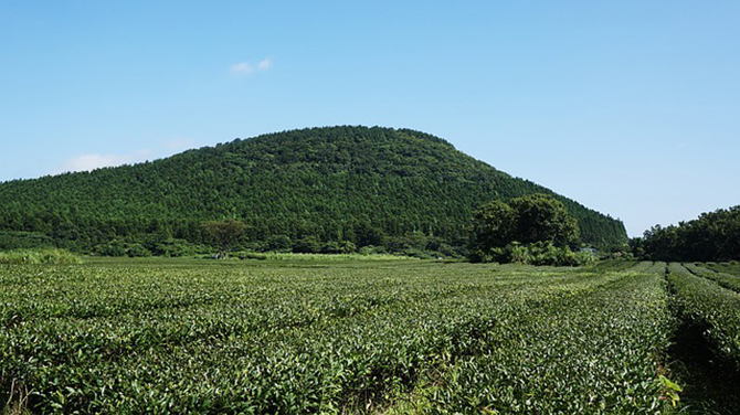 済州島風景1