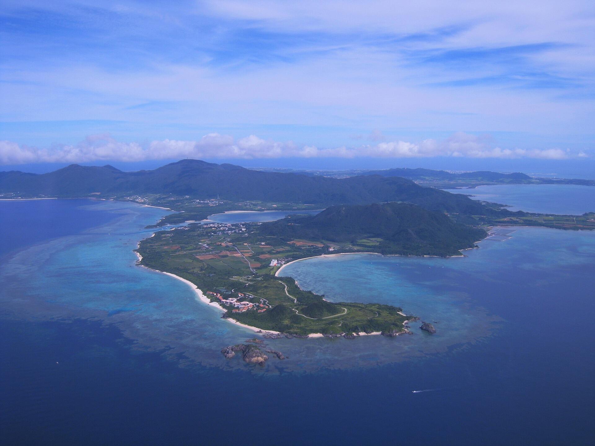 隔絶された環境が生み出した固有の生態系！石垣島に生息する多様な野生生物たち