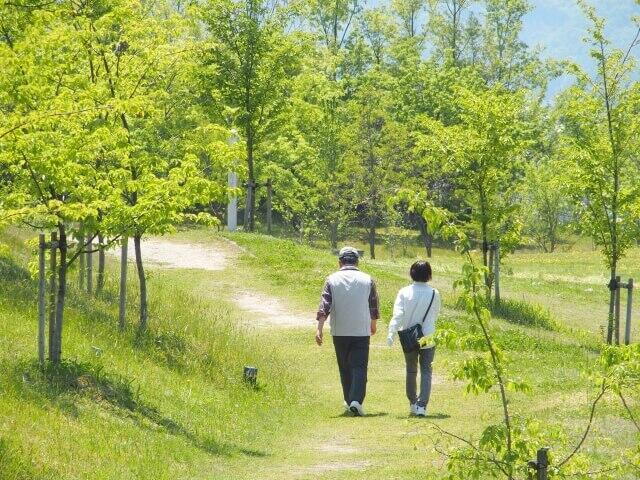 石垣島観光情報！シニア向け！のんびり楽しむ石垣島