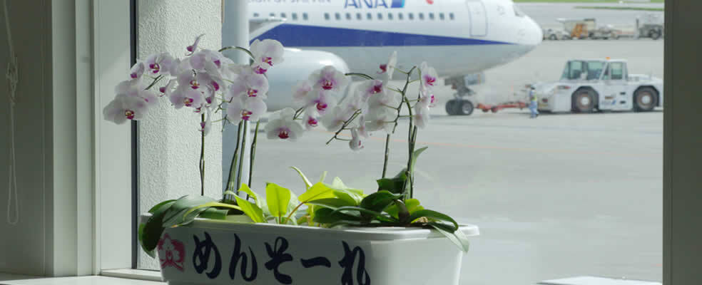 沖縄旅行で台風が来た！どうすればいいの？【出発前、滞在中、最終日】