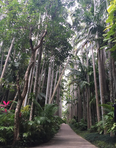 あのころの私にショートトリップ。大人の修学旅行＜沖縄旅行体験記＞