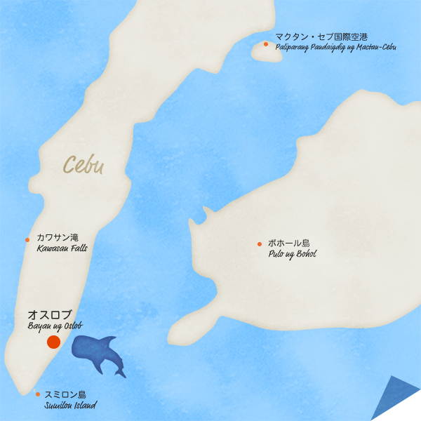 セブ島ジンベイザメに会える場所「オスロブ」