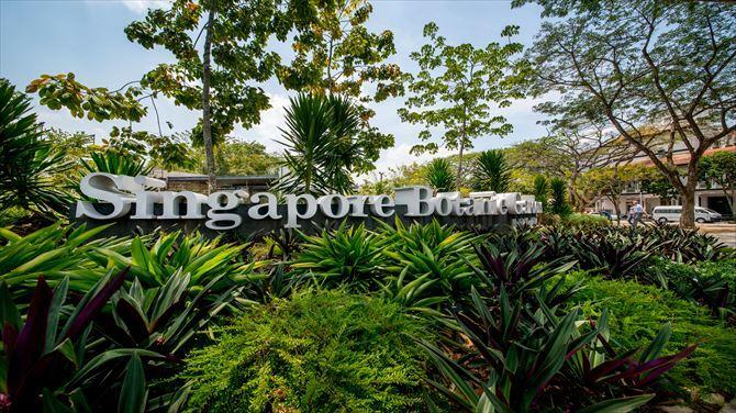 シンガポール旅行で立ち寄りたい二大植物園！ガーデンズ・バイ・ザ・ベイ＆ボタニック・ガーデン