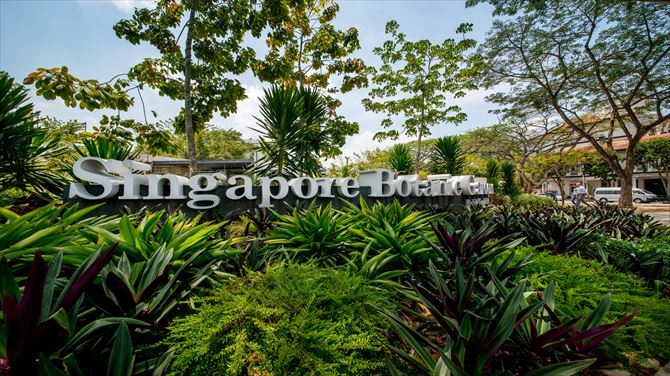 シンガポール初の世界遺産！シンガポール植物園（ボタニック・ガーデン）