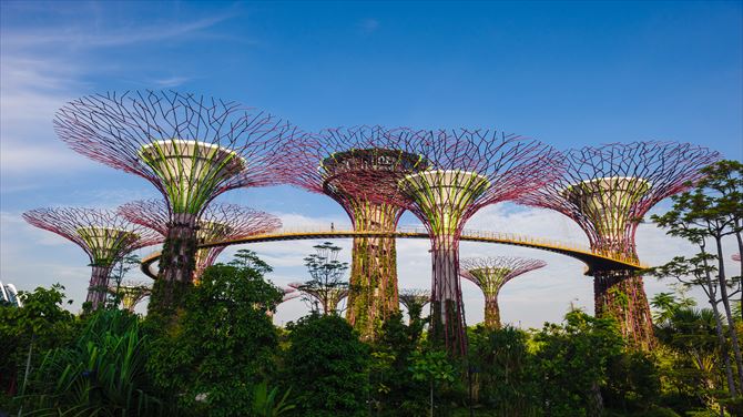 シンガポール旅行で立ち寄りたい二大植物園 ガーデンズ バイ ザ ベイ ボタニック ガーデン シンガポール旅行 シンガポール ツアー 格安海外ツアー 激安海外旅行のハッピーホリデー